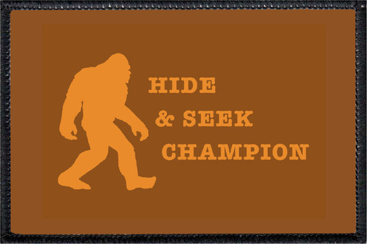 Hide & Seek Champion